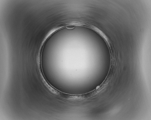 X0000116271195200911301207