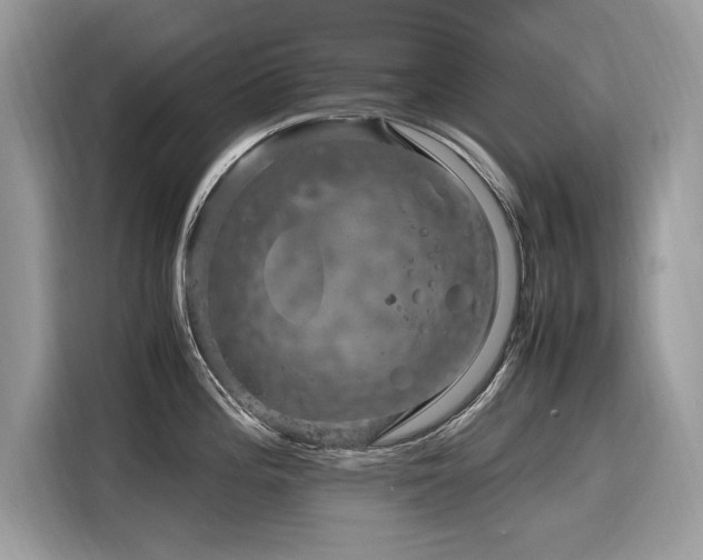 X0000116271196200911301207