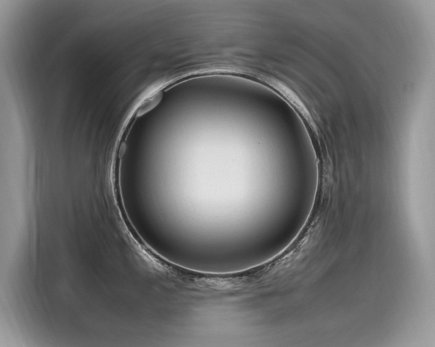 X0000116271197200911301207