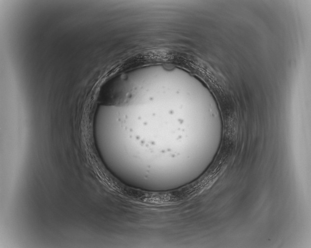 X0000116271201200911301206