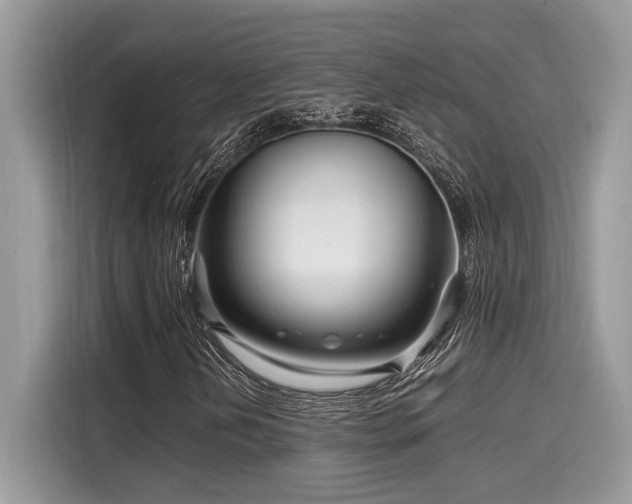 X0000116271202200911301206