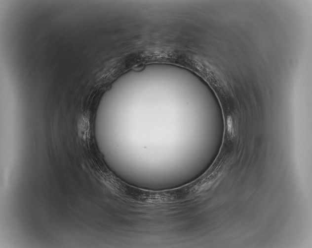 X0000116271203200911301206