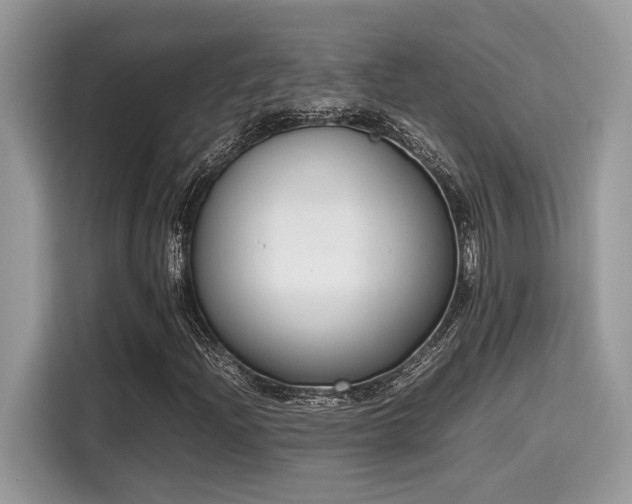 X0000116271204200911301206