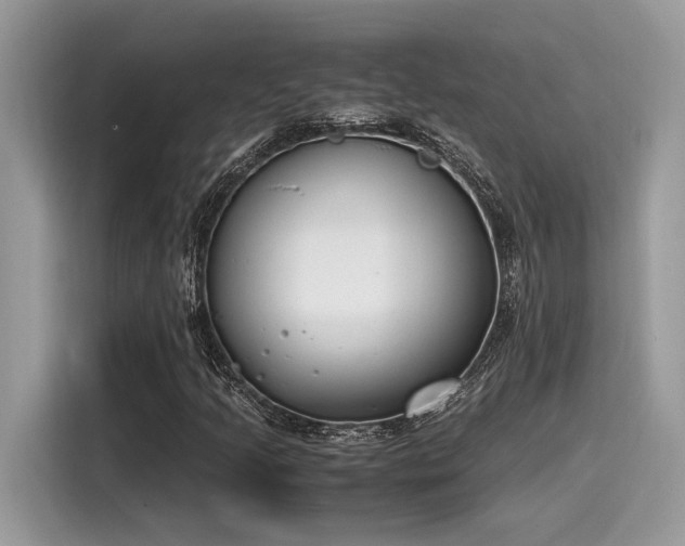 X0000116271205200911301206