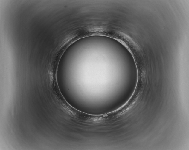 X0000116271209200911301206
