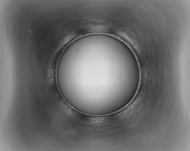 X0000116271211200911301206