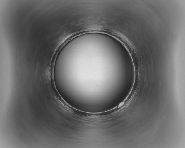X0000116271212200911301206