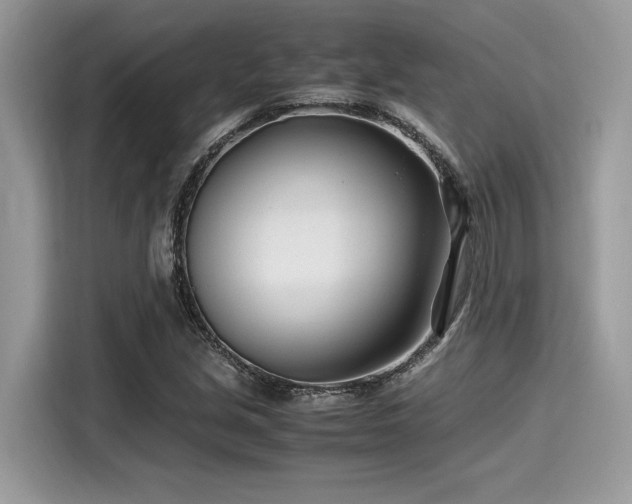 X0000116271213200911301206
