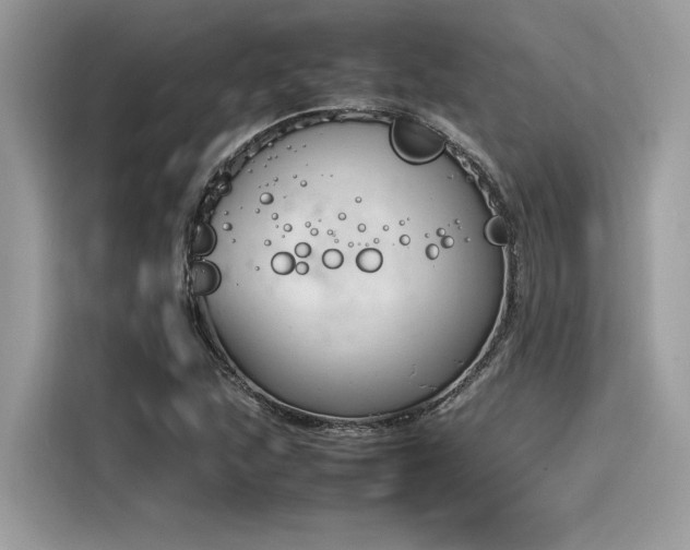 X0000116271215200911301206