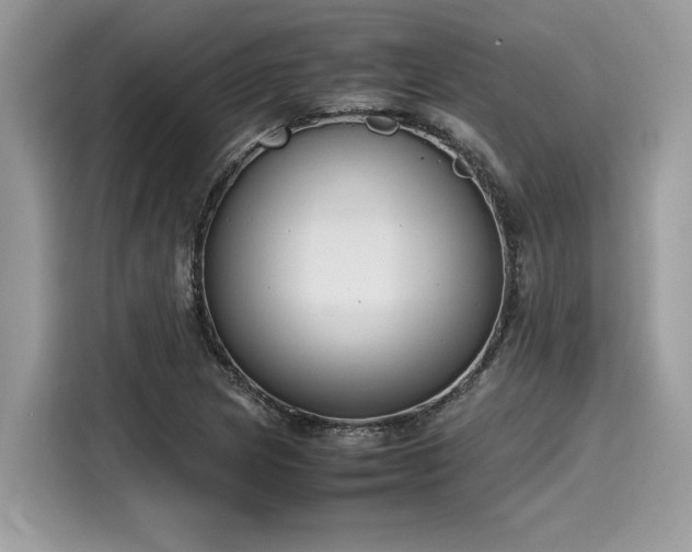 X0000116271217200911301206