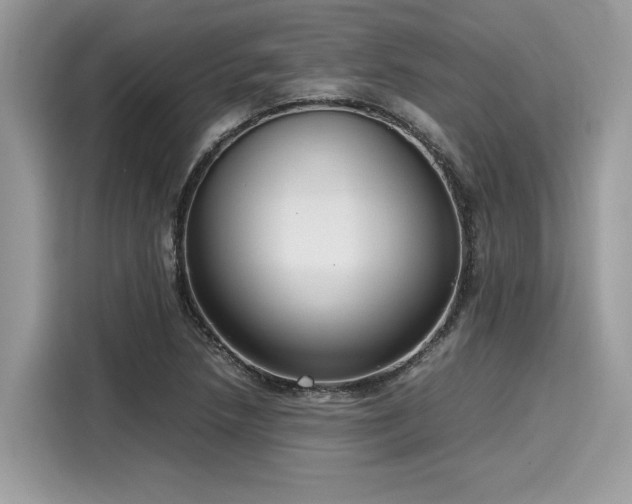 X0000116271218200911301206