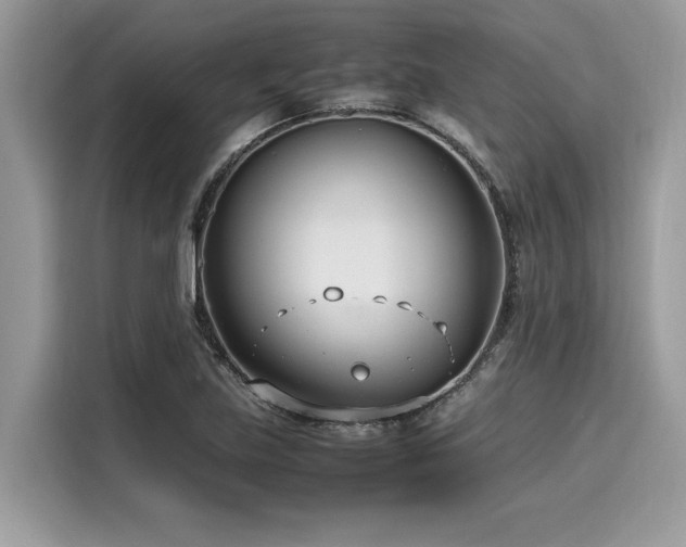 X0000116271219200911301206