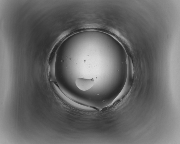 X0000116271221200911301206