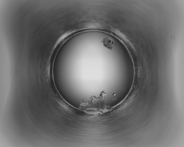 X0000116271222200911301206