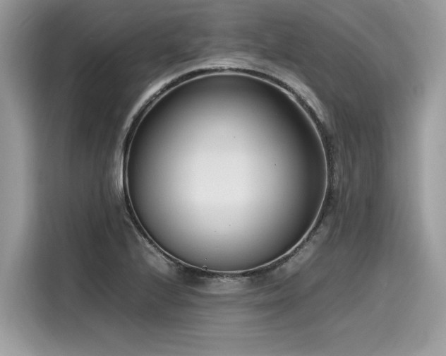 X0000116271224200911301207