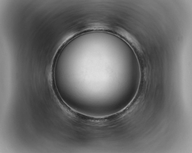 X0000116271229200911301207