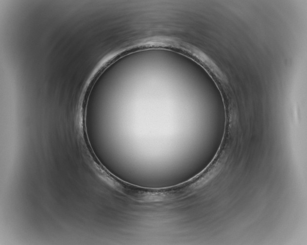 X0000116271232200911301207