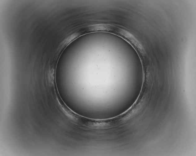X0000116271233200911301207