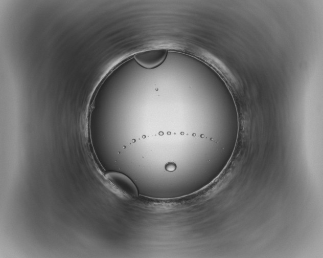 X0000116271236200911301207