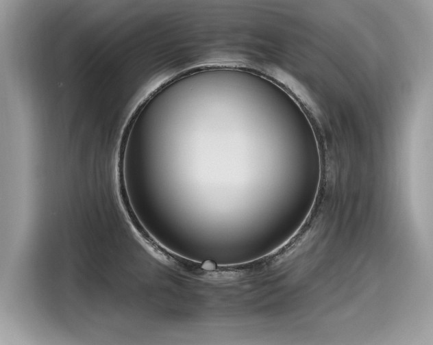 X0000116271237200911301207
