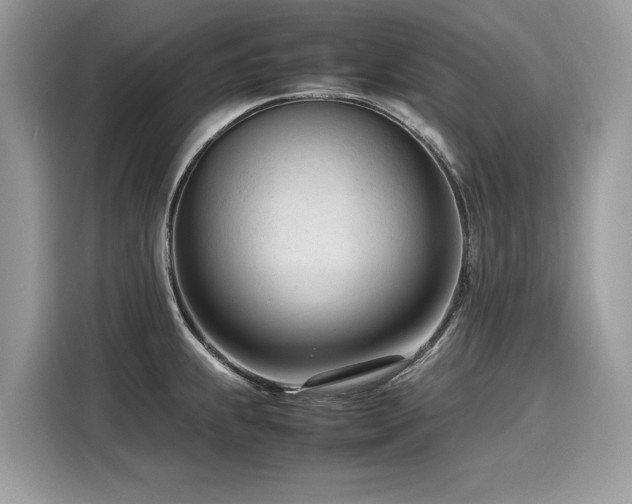 X0000116271239200911301207