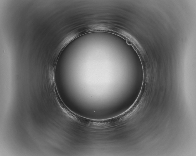X0000116271241200911301207