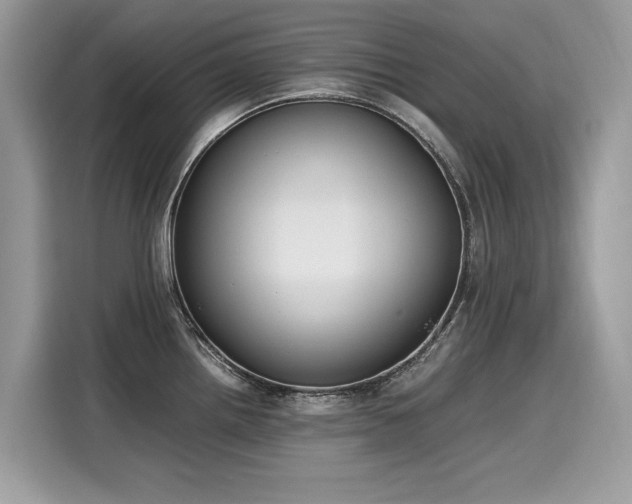 X0000116271242200911301207