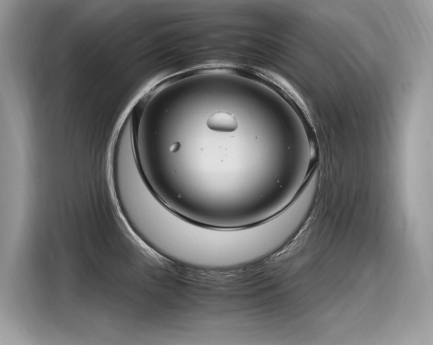 X0000116271243200911301207