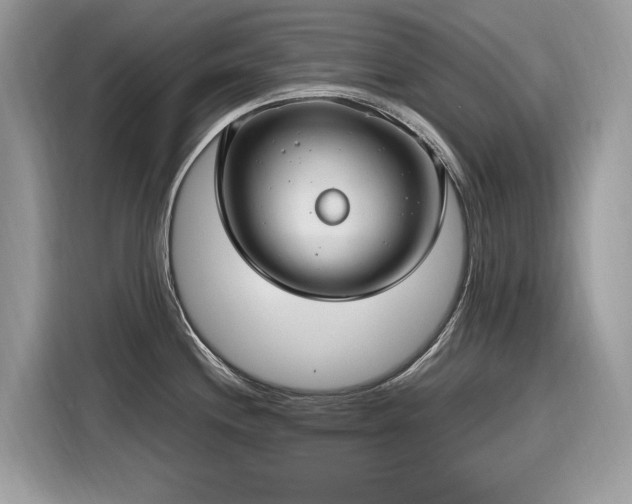X0000116271244200911301207