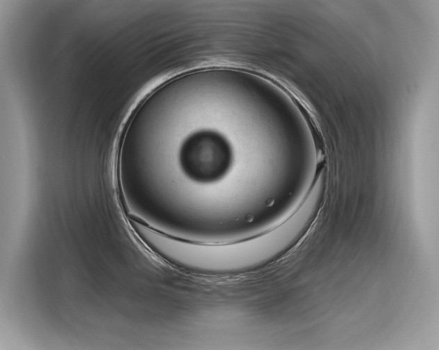 X0000116271246200911301207