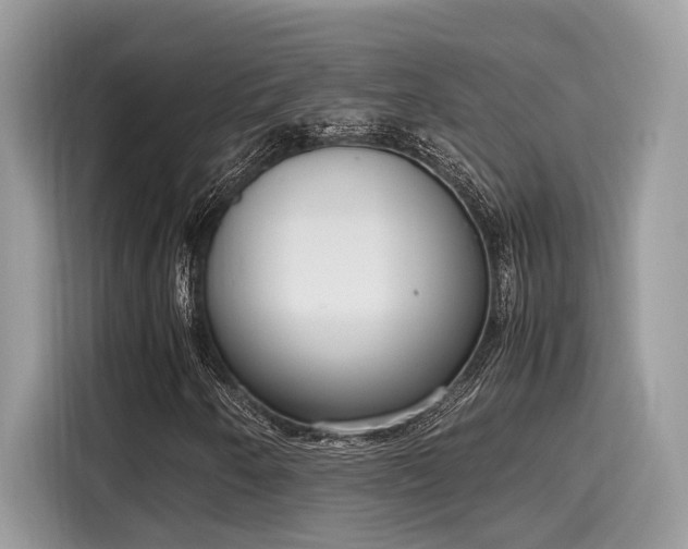 X0000116271250200911301206