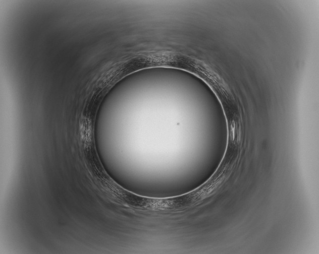 X0000116271251200911301206