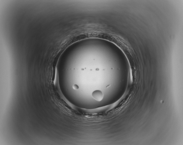 X0000116271252200911301206