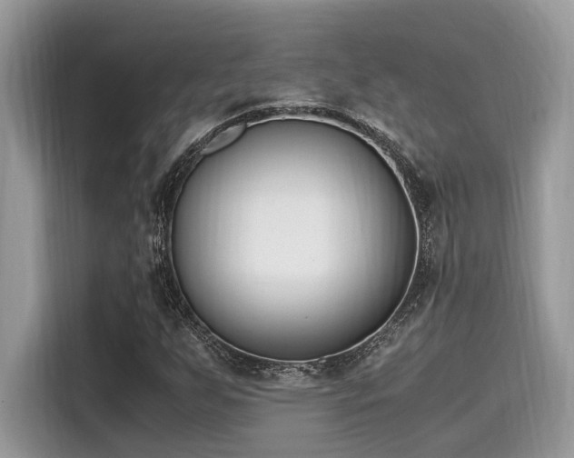X0000116271255200911301206