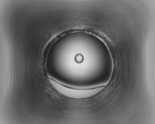 X0000116271256200911301206