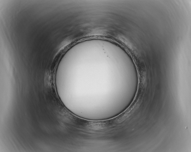 X0000116271258200911301206