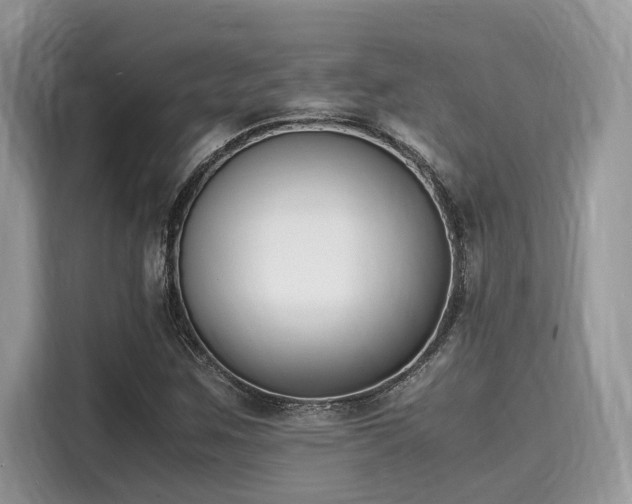 X0000116271259200911301206