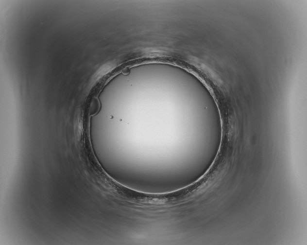 X0000116271261200911301206