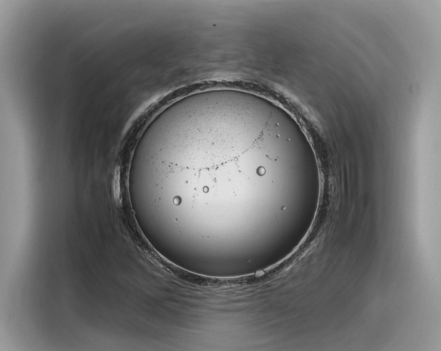 X0000116271262200911301206