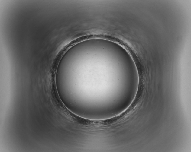 X0000116271263200911301206