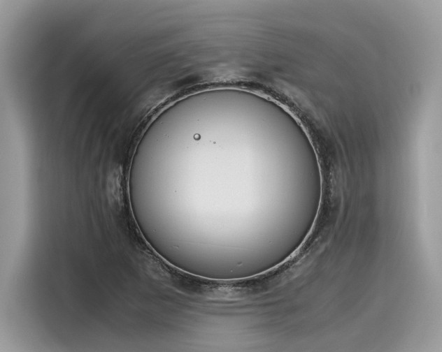 X0000116271265200911301206