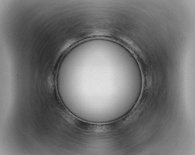 X0000116271266200911301206