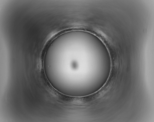 X0000116271267200911301206
