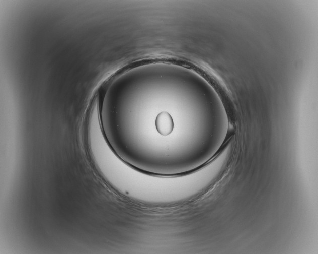 X0000116271269200911301206