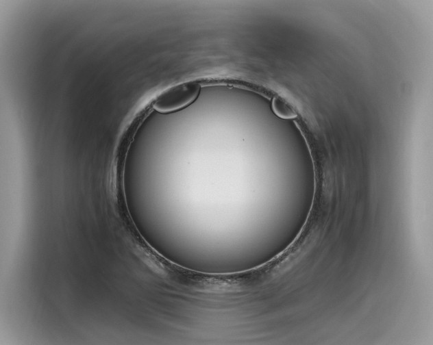 X0000116271270200911301206