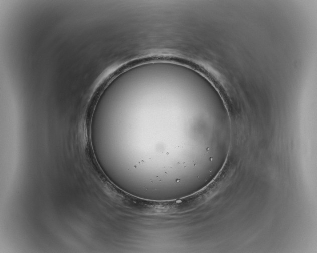 X0000116271271200911301206