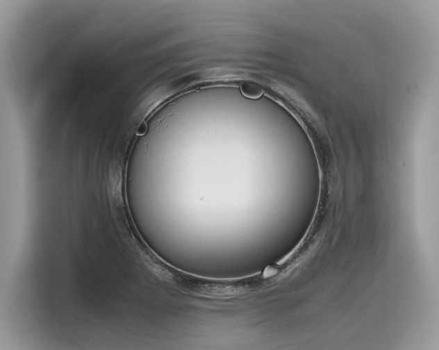 X0000116271273200911301206