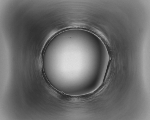 X0000116271275200911301206