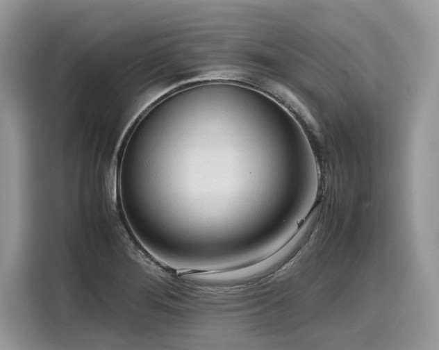 X0000116271276200911301206