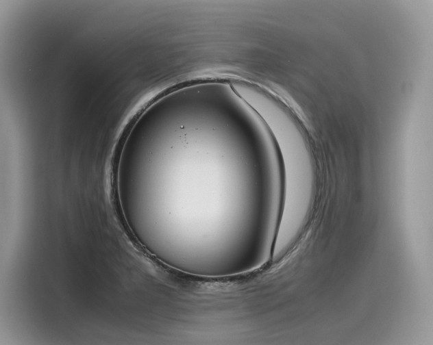 X0000116271277200911301206